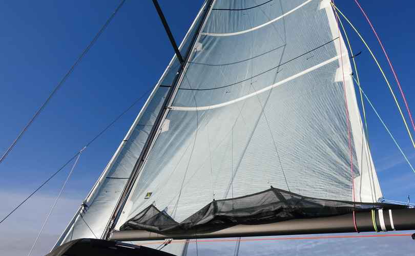 Photo Pogo 36 (2025)