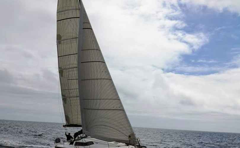 Photo Pogo 36 (2025)