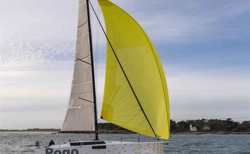 Photo Pogo 44 (2025)