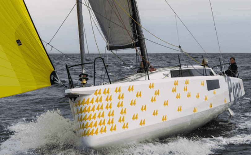 Photo Pogo 44 (2026)