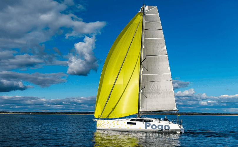 Photo Pogo 44 (2026)