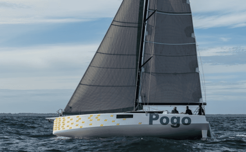 Photo Pogo 44 (2026)