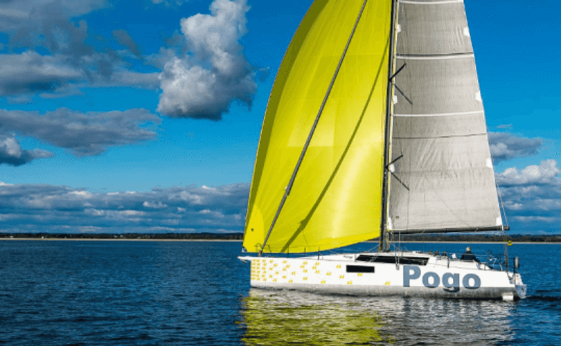 Photo Pogo 44 (2026)