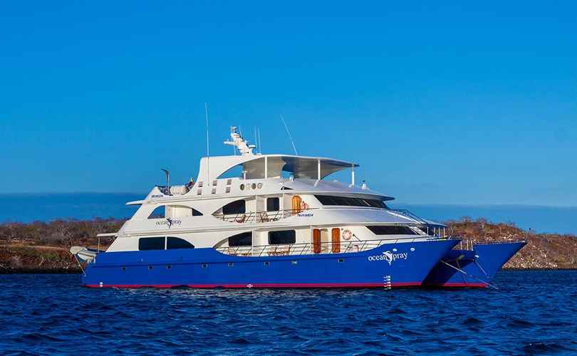 Ocean Spray Custom