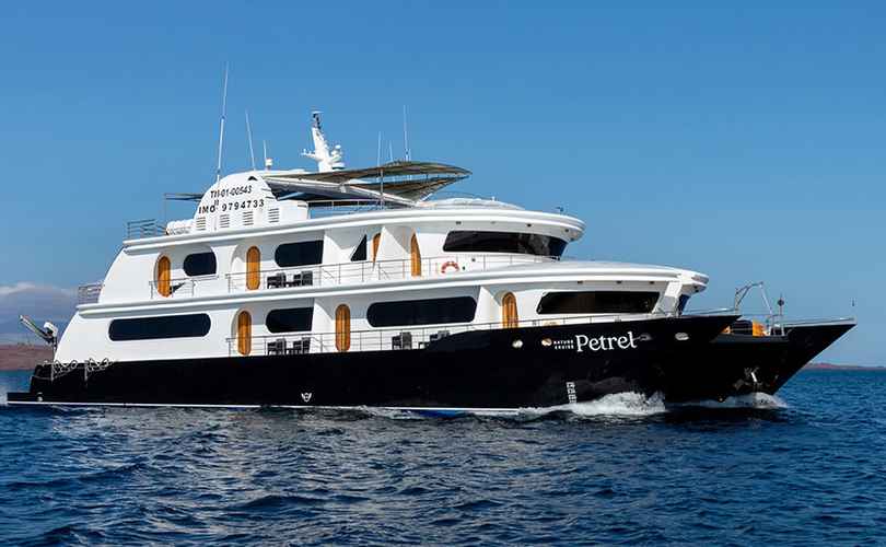 Petrel Custom