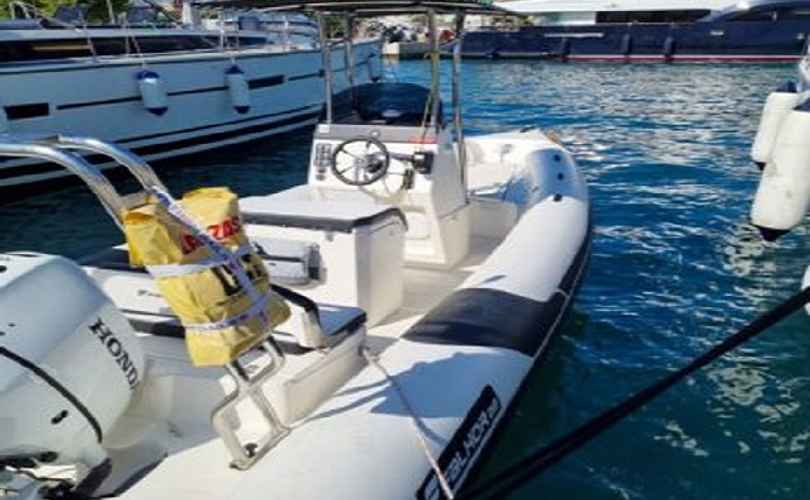 Photo Falkor 22 (2021)