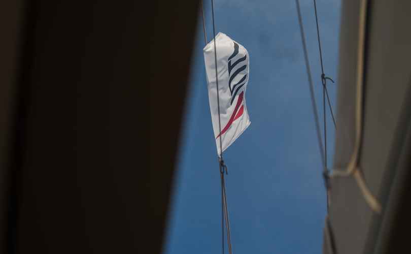 Photo Saona 47 (2019)