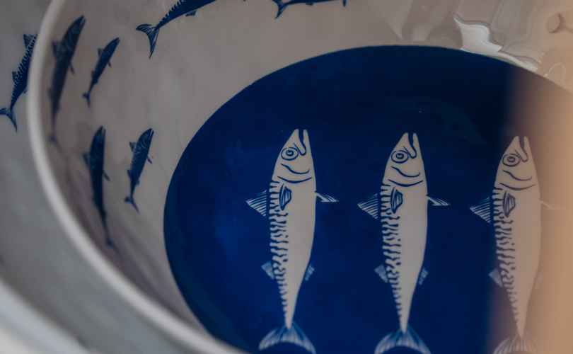 Photo Saona 47 (2019)