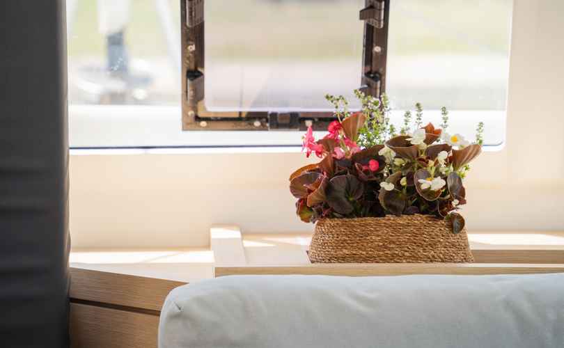 Photo Saona 47 (2019)