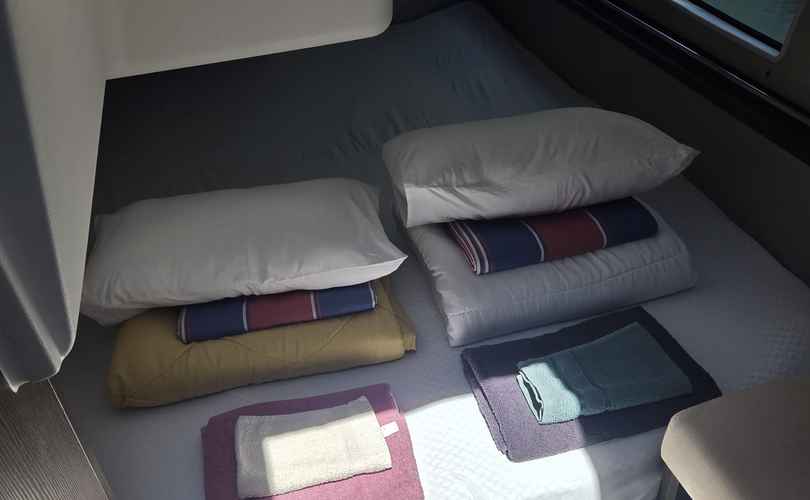 Photo Sealine C335 (2024)