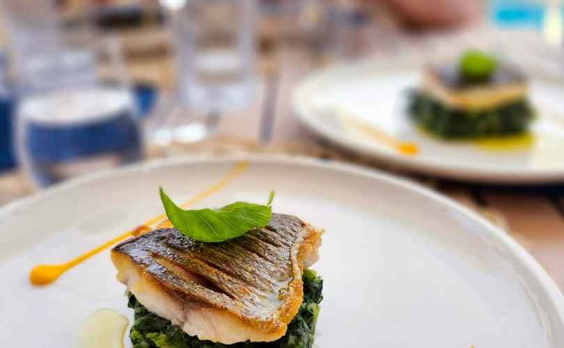 Photo Sunreef 60 (2019)