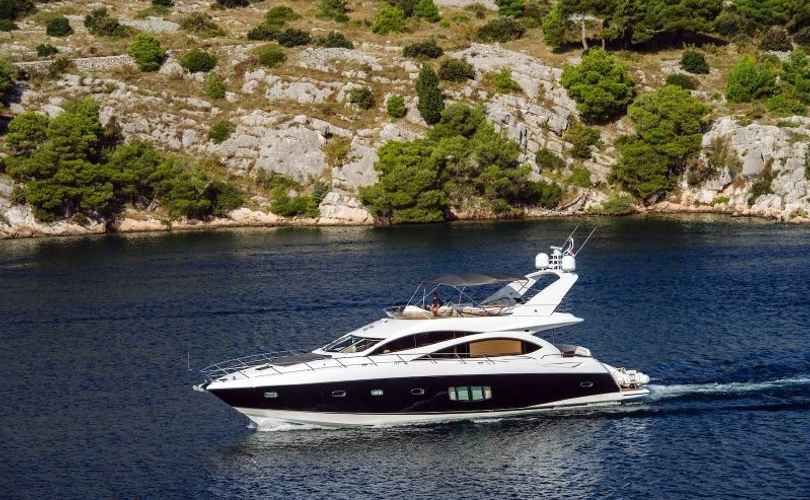 Photo Predator 74 (2011)