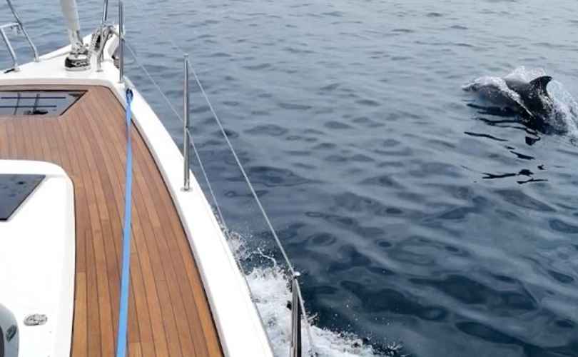 Bavaria C45