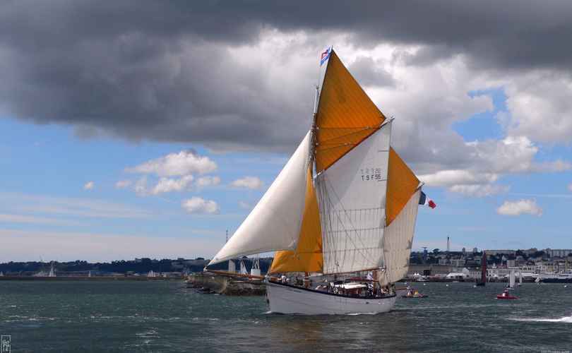 Etoile Molène