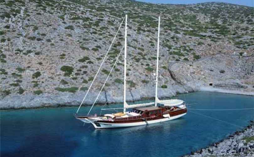 Medcaner4