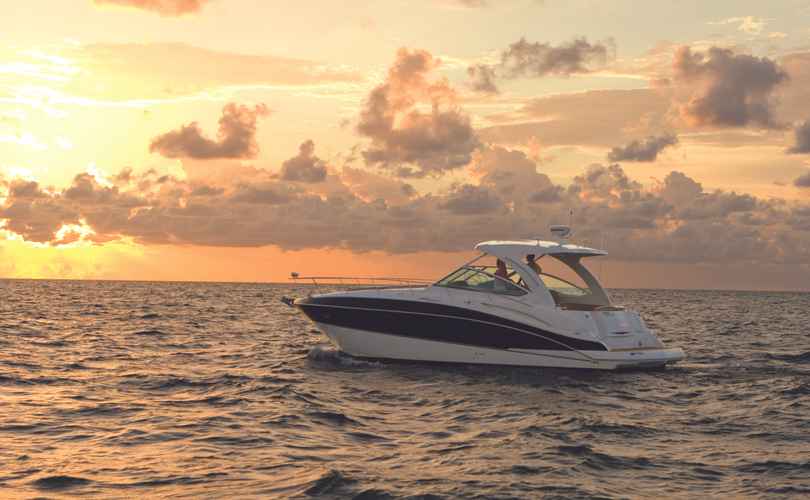 Photo Cruisers 360 (2008)