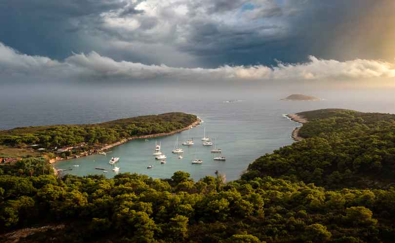 Photo Excess 15 (2023)