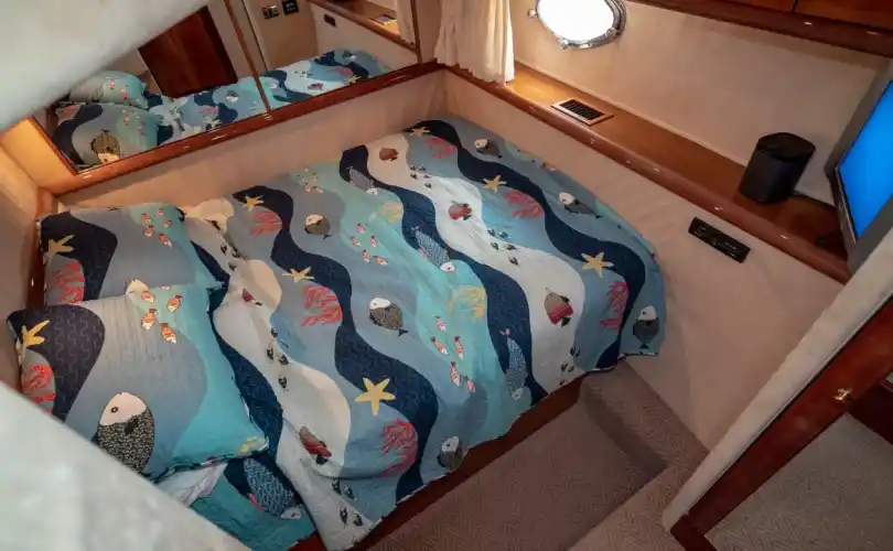 Sunseeker 56