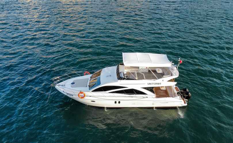 Photo Oryx 46 Fly (2008)