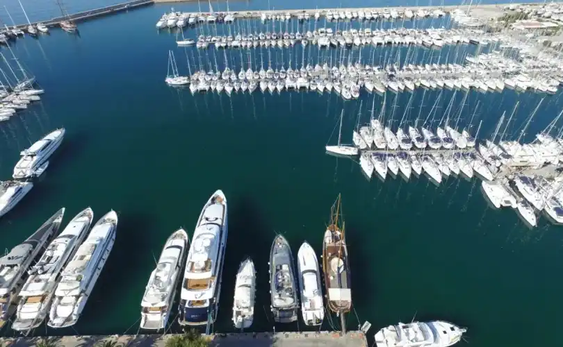 Photo Saona 47 (2020)