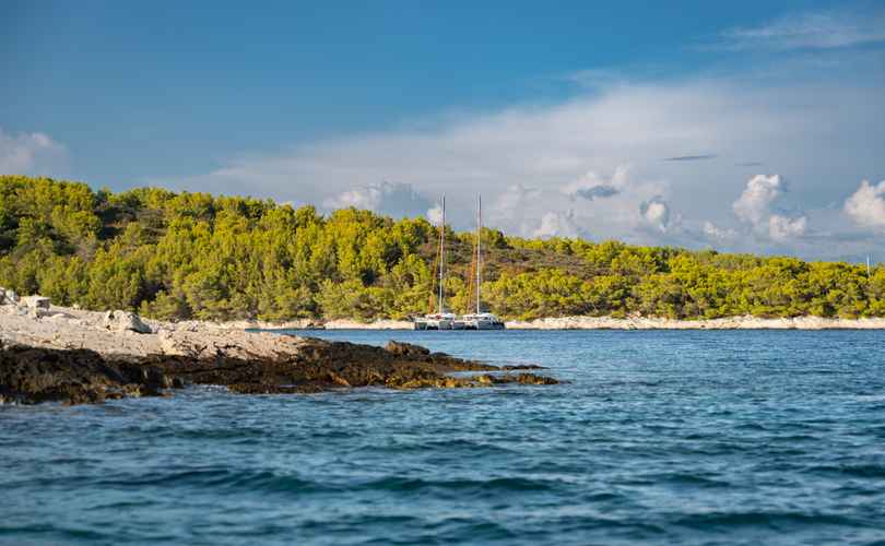 Photo Excess 15 (2023)