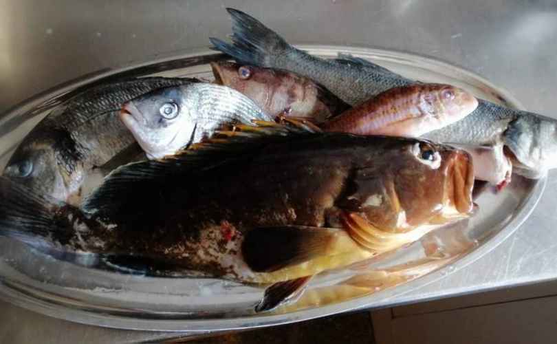 Photo Adriatic Holiday (2008)