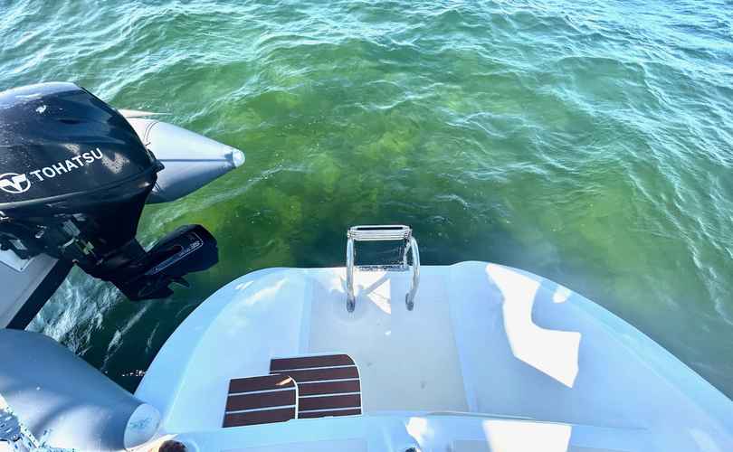 Photo Custom Built 48 (1990)