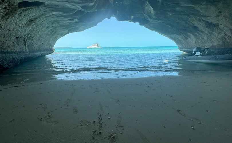 Photo Leopard 53 PC (2023)