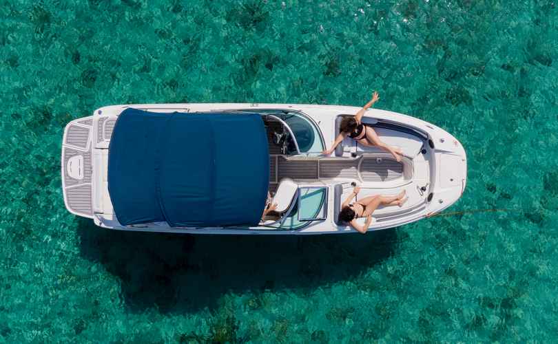Photo Sea Ray 260 Sundeck (2012)