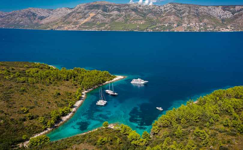 Photo Excess 15 (2023)