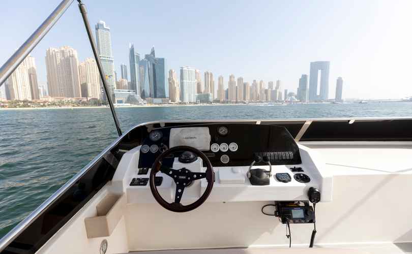 Photo Oryx 46 Fly (2008)