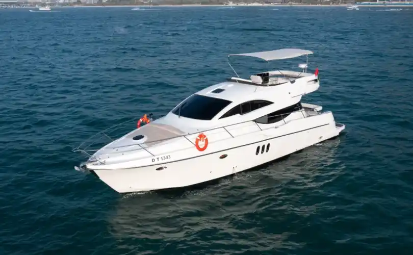 Photo Numarine 55 (2009)