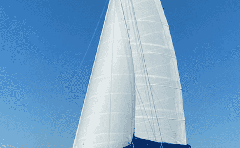 Photo Custom Built 48 (1990)