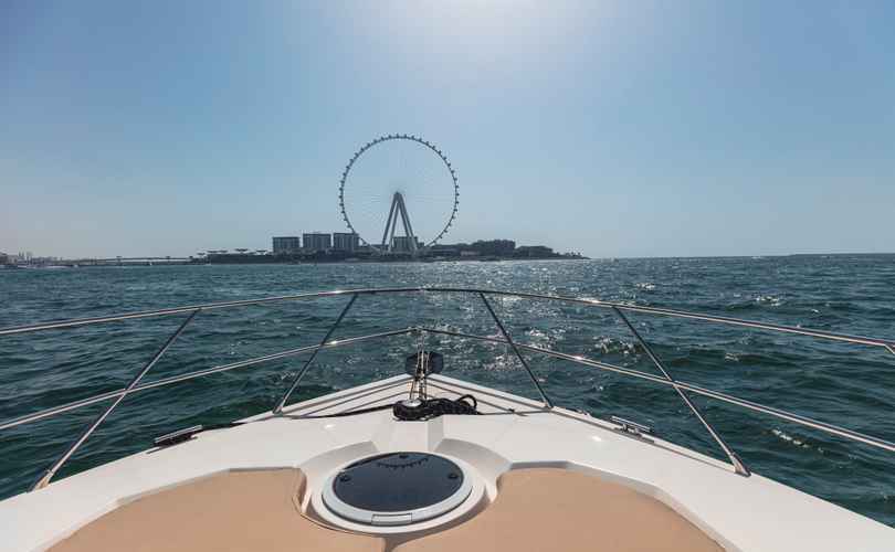 Photo Oryx 46 Fly (2008)