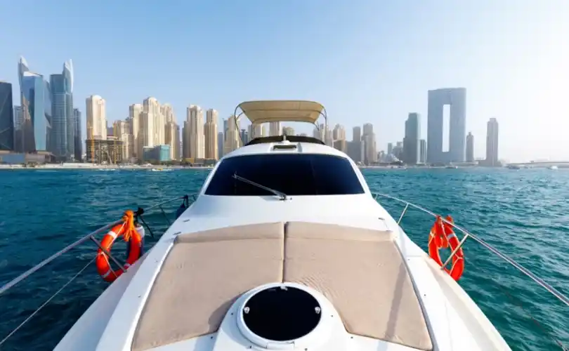 Photo Numarine 55 (2009)