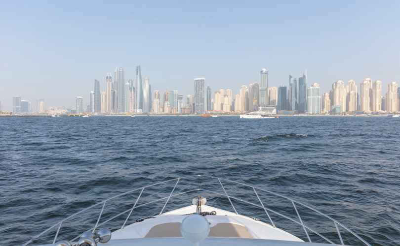 Photo Oryx 46 Fly (2008)