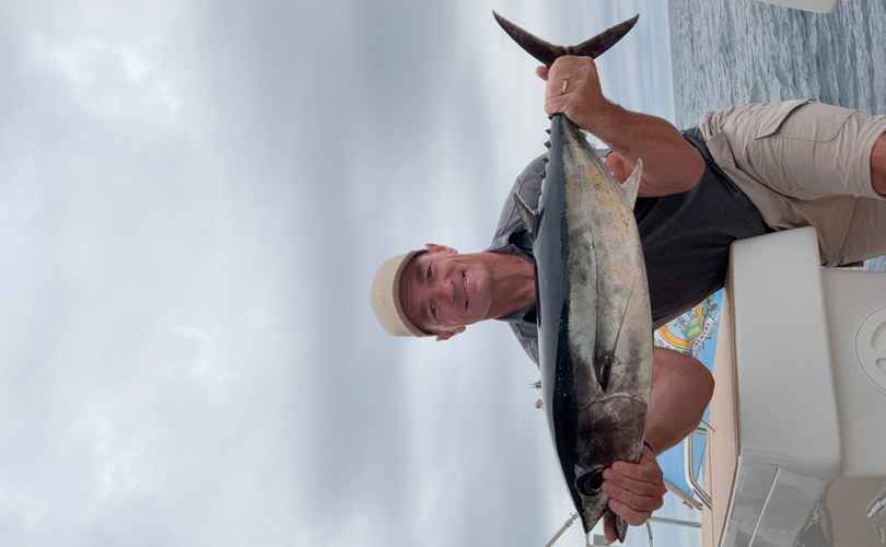 Photo Hanse 460 (2025)