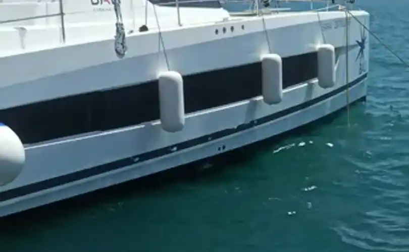 Photo Bali Catspace Voile (2024)