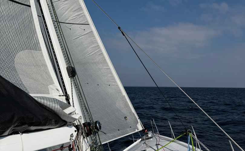 Photo Pogo 44 (2025)