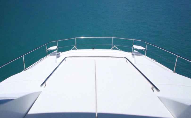 Photo Leopard 43 PC (2017)