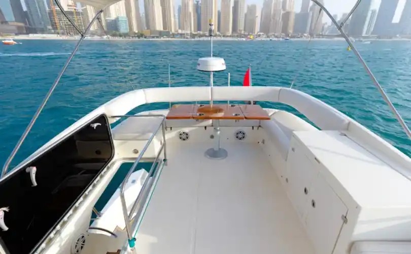 Photo Numarine 55 (2009)