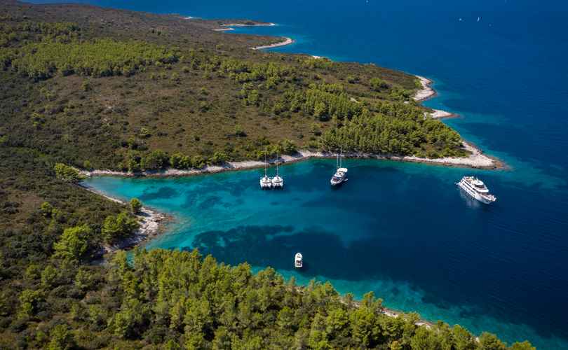 Photo Excess 15 (2023)