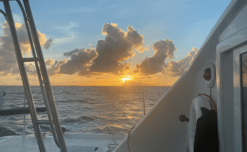 Photo Custom Built 48 (1990)