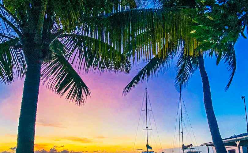 Photo Saona 47 (2017)