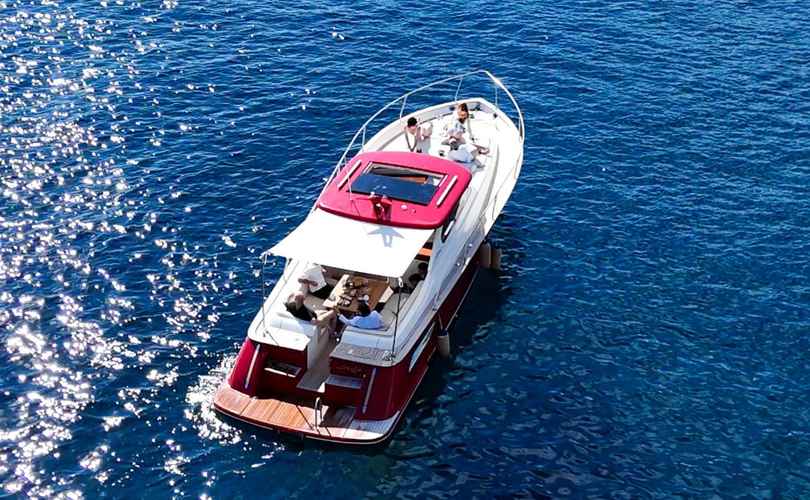 Photo Lobster 35 (2025)