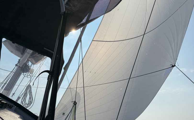 Photo Pogo 44 (2025)