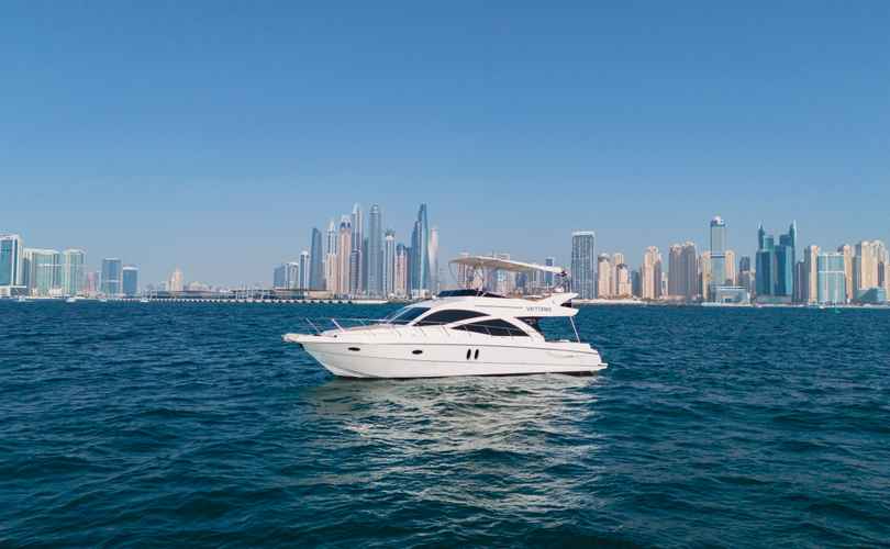 Photo Oryx 46 Fly (2008)