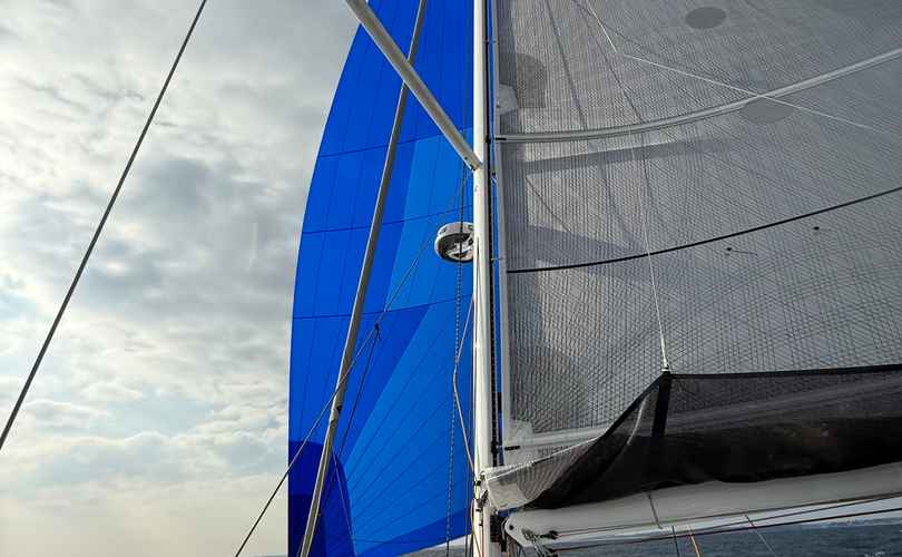 Photo Pogo 44 (2025)