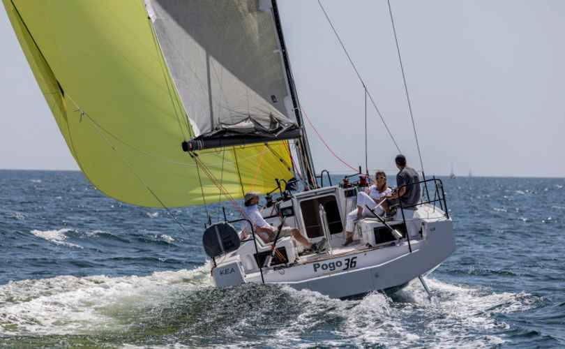 Photo Pogo 36 (2021)