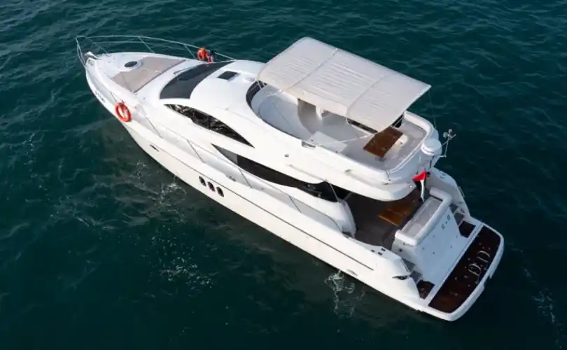 Photo Numarine 55 (2009)